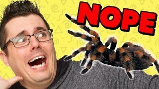 Artistry in Games GIANT-SPIDER-FREAKOUT GIANT SPIDER FREAKOUT Reviews  What're Those superheroes irl spiders spiderman homecoming Spiderman spider-man spider web spider prank spider Smosh Games smosh Reaction prank gone wrong prank homecoming giant spider funny prank funny  
