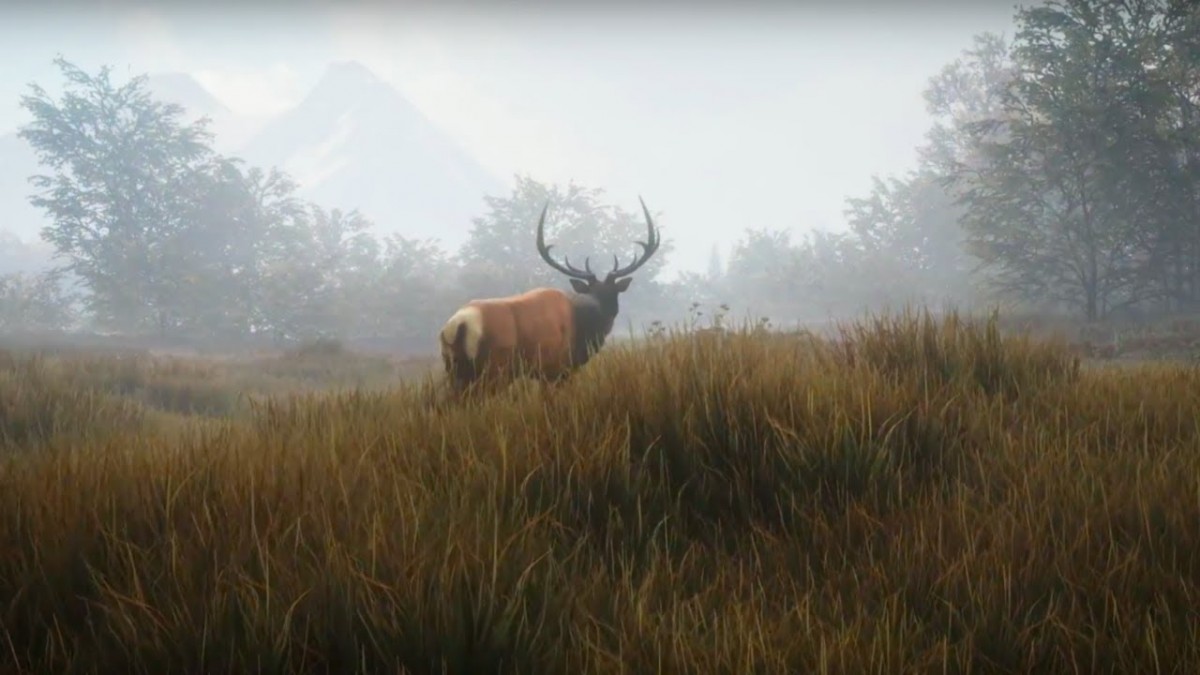 Artistry in Games TheHunter-Call-of-the-Wild-Official-Teaser-Trailer TheHunter: Call of the Wild Official Teaser Trailer News  Xbox One trailer TheHunter: Call of the Wild PC IGN Hunting games Expansive Worlds Avalanche Studios (SE) Action #ps4  