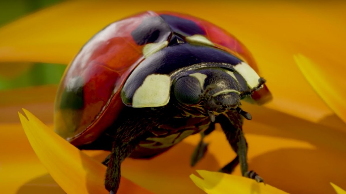 Artistry in Games Xbox-One-X-Official-Insects-Demo-Trailer Xbox One X Official Insects Demo Trailer News  xbox one x Xbox One trailer Microsoft IGN Hardware games  