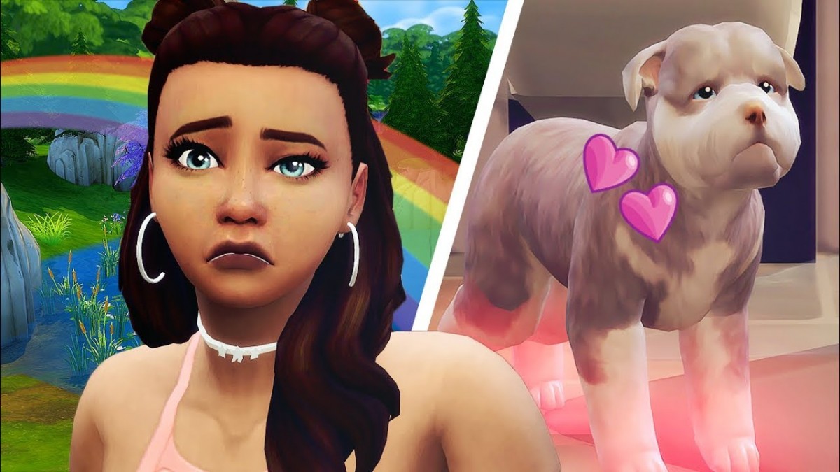 Artistry in Games PUPPY-PROBLEMS-The-Super-Sim-Challenge-Ep.-27- PUPPY PROBLEMS! - The Super Sim Challenge! - Ep. 27 ?? Gaming  thesimsupply the sims 4 super sim challlenge the sims 4 cats and dogs The Sims 4 the sims the sim supply supersim super sim challenge super sim super sims cats and dogs sims 4 cow plant sims 4 sims Meganplays Megannplays Girl Gaming Girl Gamer cowplant challenge cats and dogs  