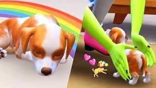 Artistry in Games NEW-PUPPY-The-Sims-4-Strange-Town-TS4-Lets-Play-Ep.-2- NEW PUPPY! | The Sims 4: Strange Town | TS4 Lets Play Ep. 2 ? News