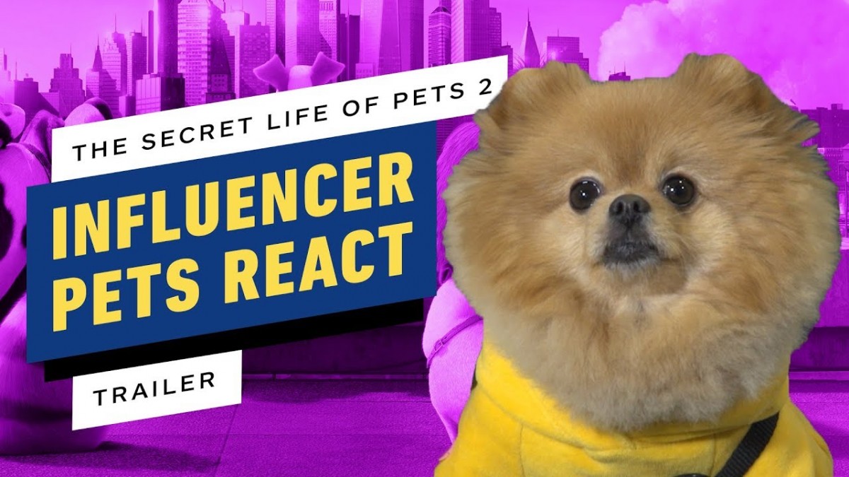 Artistry in Games Pets-React-to-The-Secret-Life-of-Pets-2-Trailer Pets React to The Secret Life of Pets 2 Trailer News