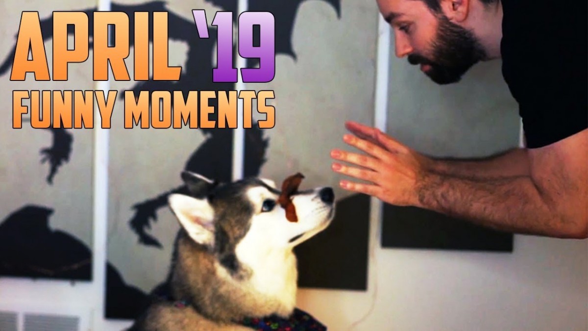 Artistry in Games Angry-Roosters-Explosive-RP-The-Goodest-Boi-Funny-MomentsHighlights-April-2019 Angry Roosters, Explosive RP, & The Goodest Boi! (Funny Moments/Highlights April 2019) News