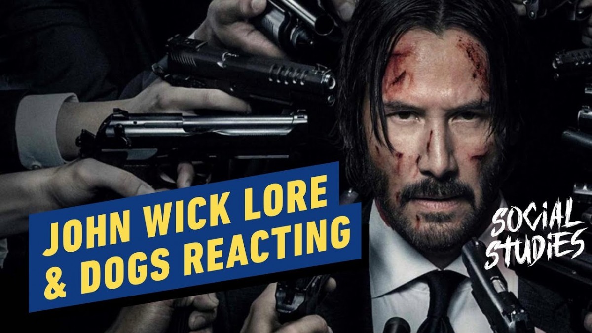 Artistry in Games John-Wick-Lore-Dogs-React-to-Dogs-Reacting-Social-Studies-2 John Wick Lore & Dogs React to Dogs Reacting - Social Studies #2 News