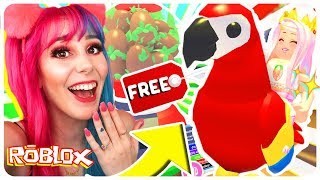 How To Get A Free Legendary Parrot Pet In Adopt Me Roblox Adopt