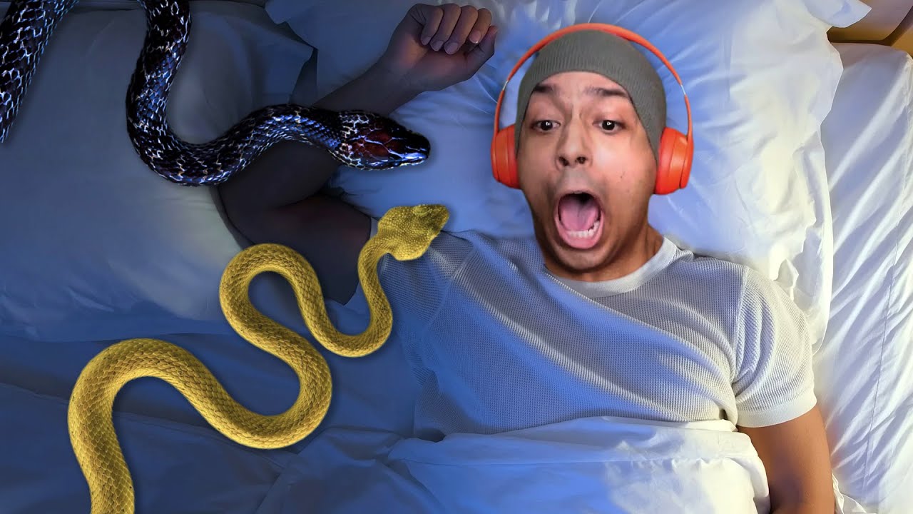 Artistry in Games I-FOUND-GIANT-SNAKES-IN-MY-ROOM I FOUND GIANT SNAKES IN MY ROOM!!! News